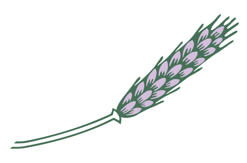 FHS Logo